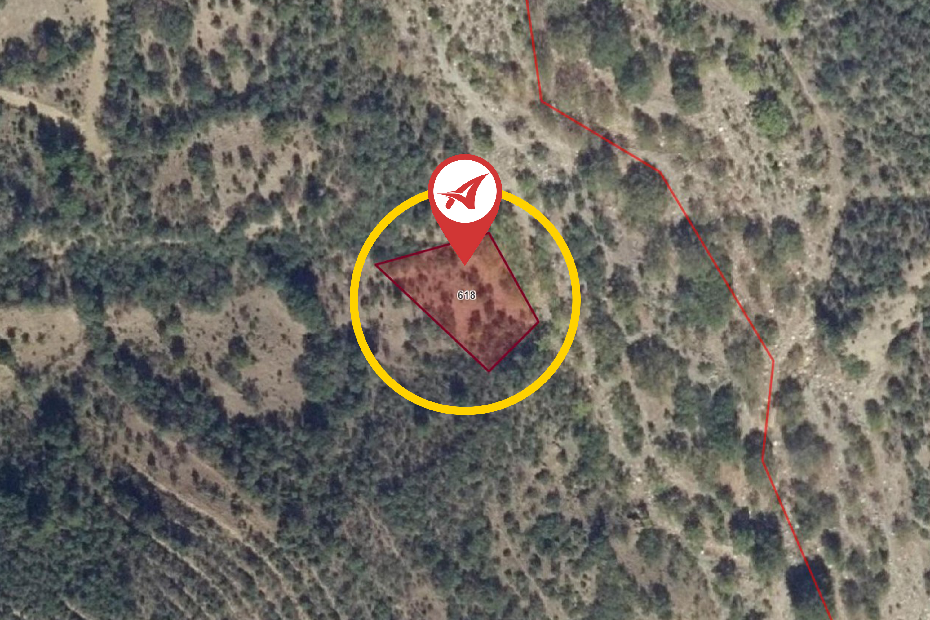 Medya