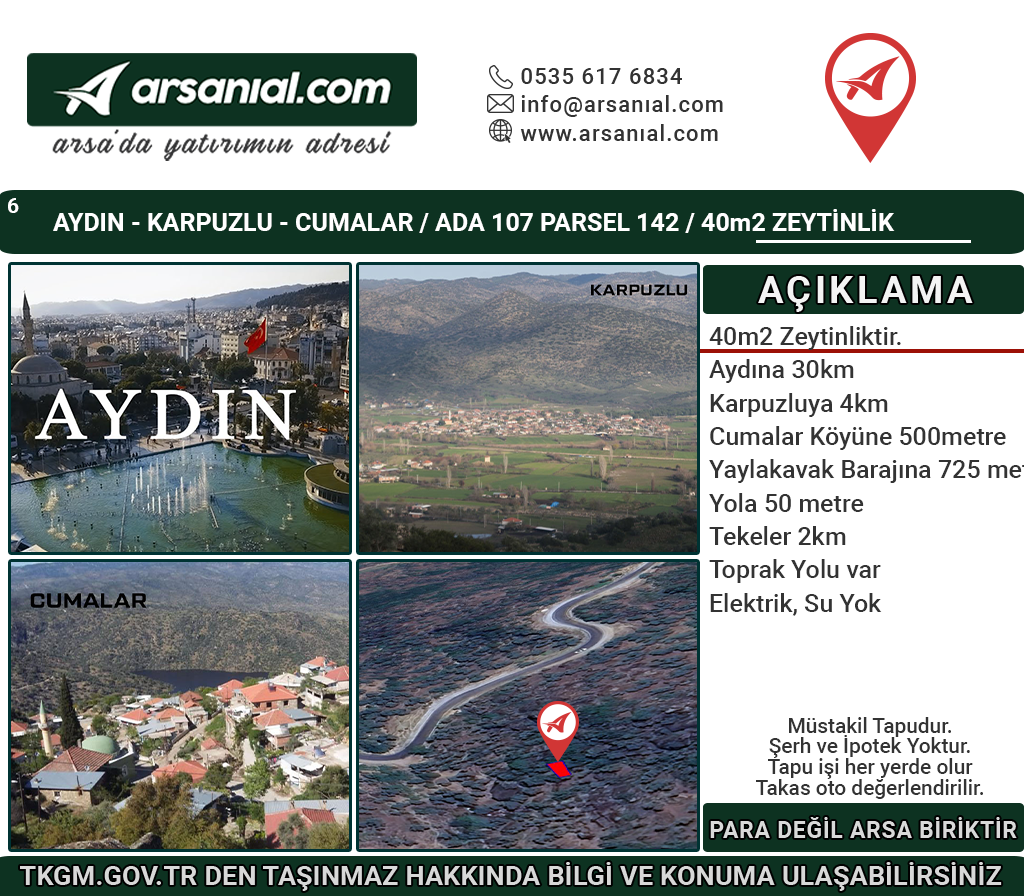 Aydın Karpuzlu Cumalar Satılık 40m2 Zeytinlik
