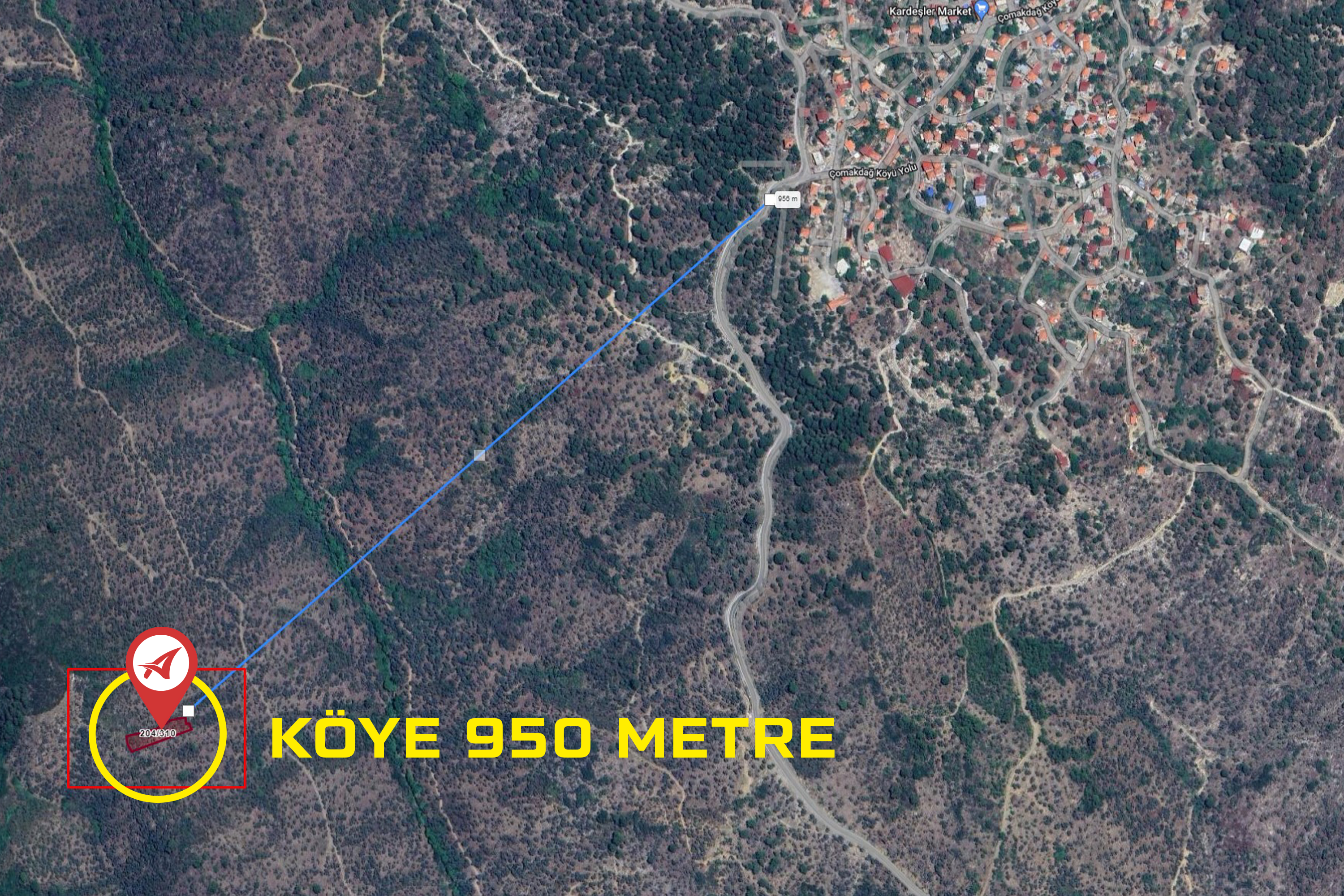 Medya