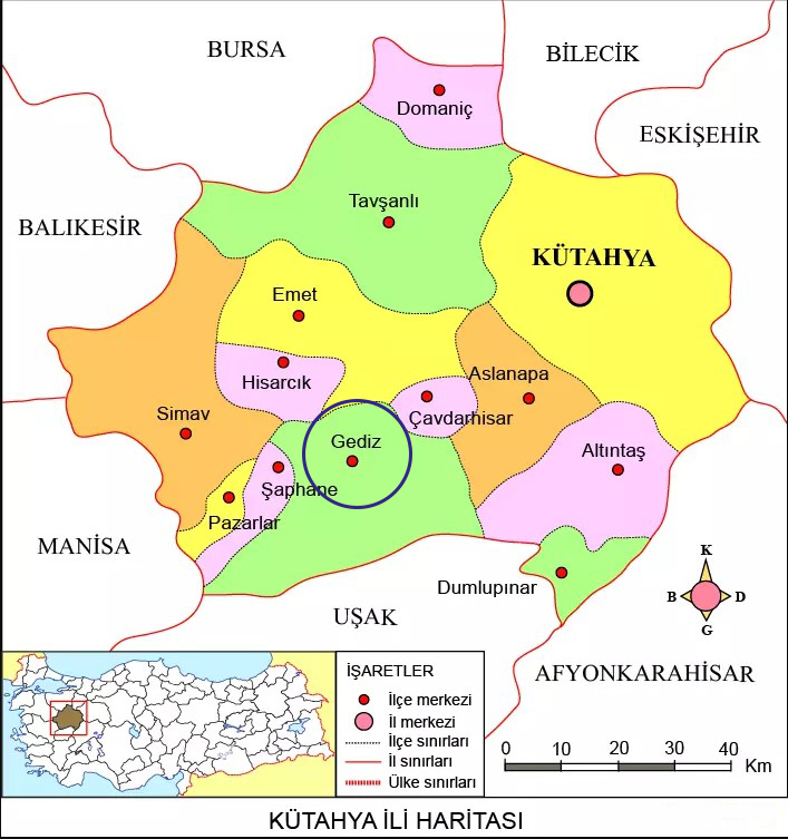 Medya
