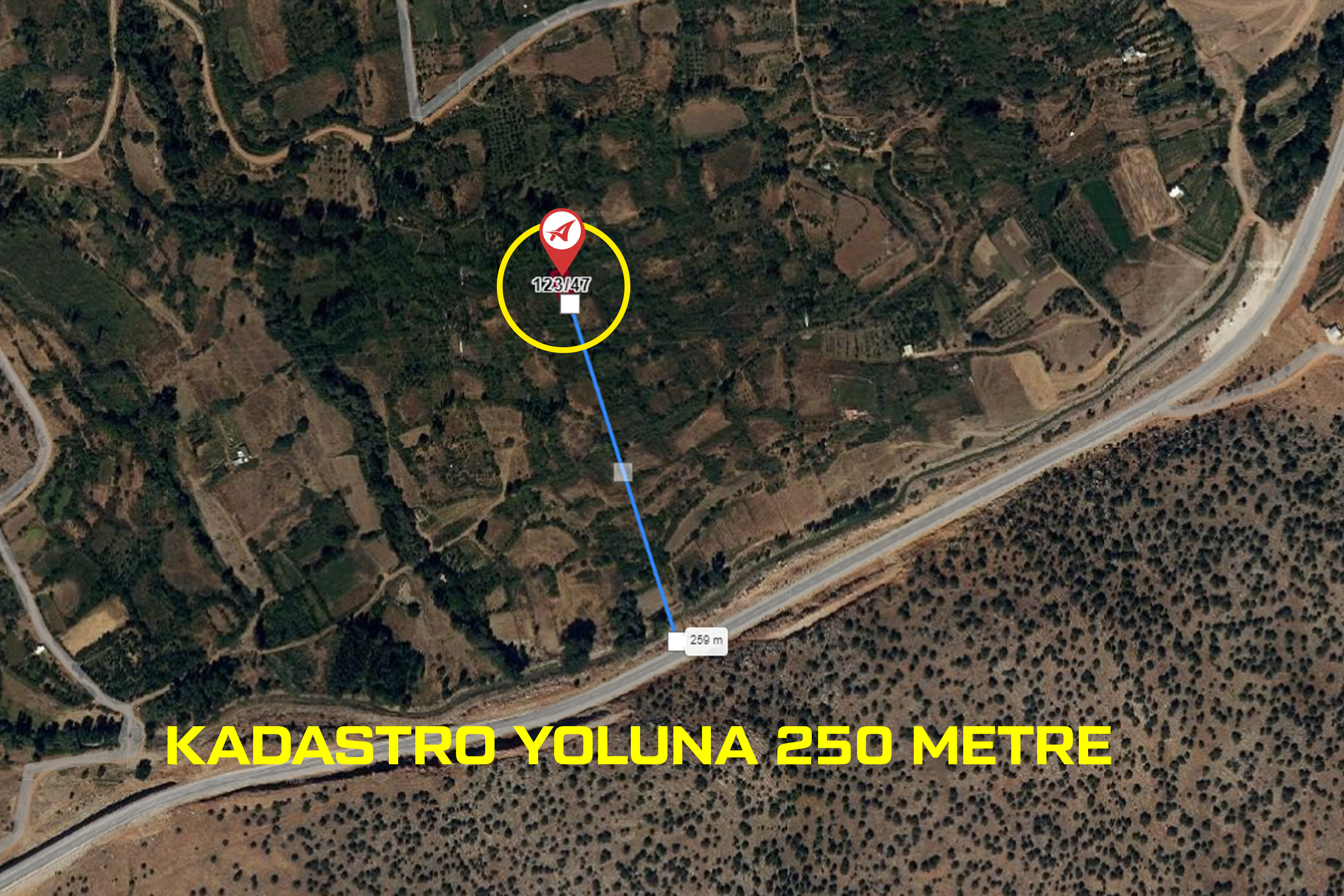 Medya