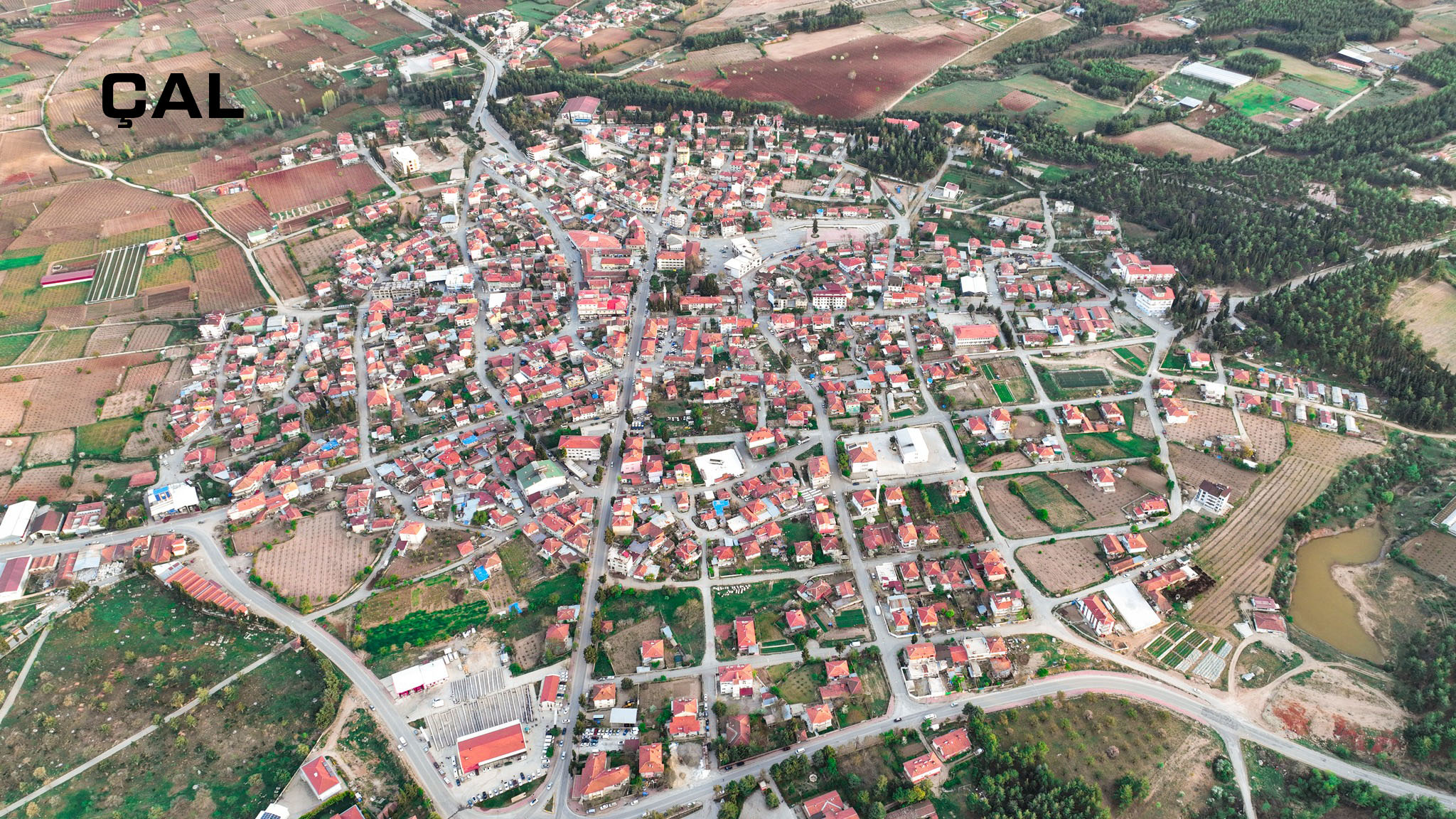 Medya