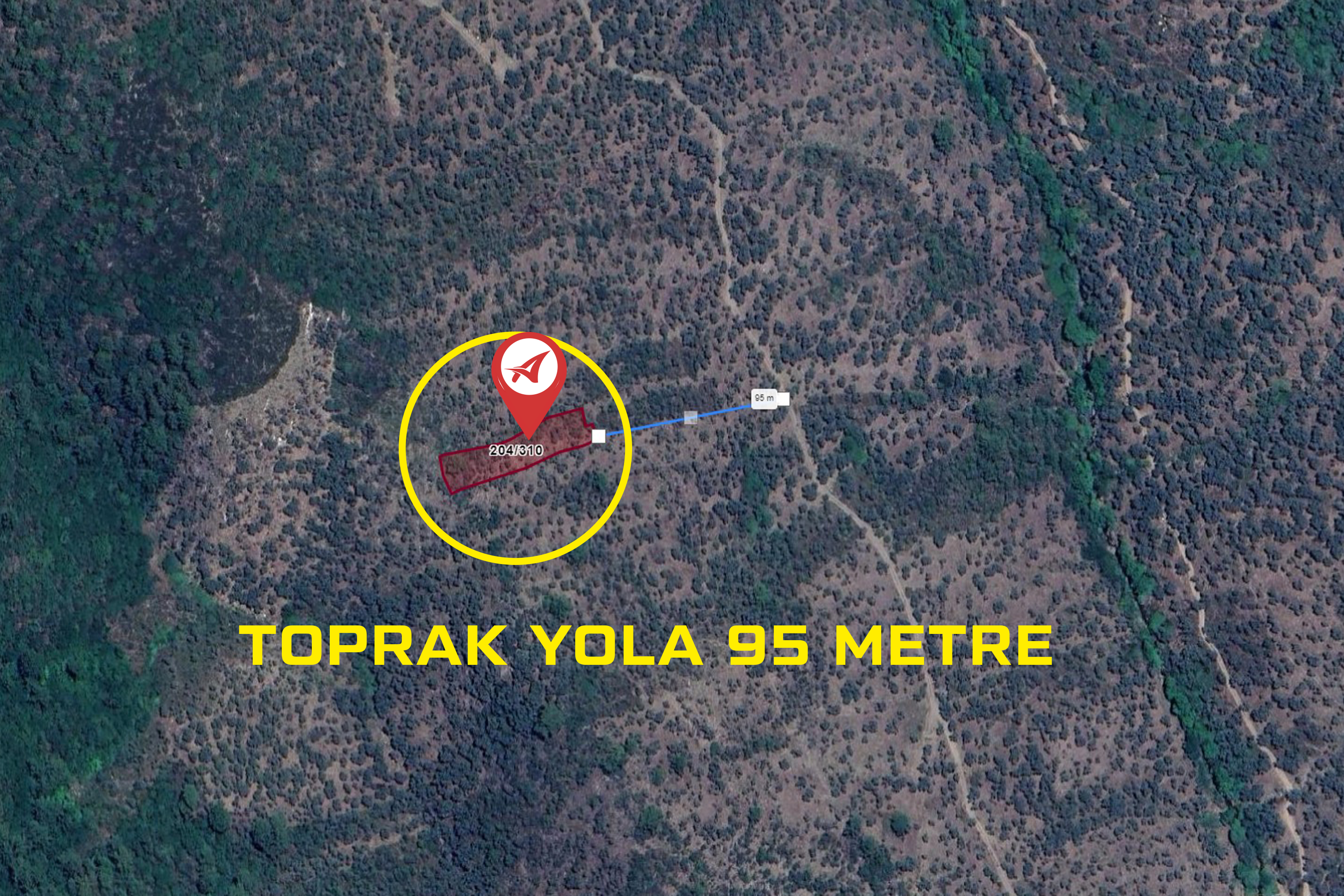 Medya