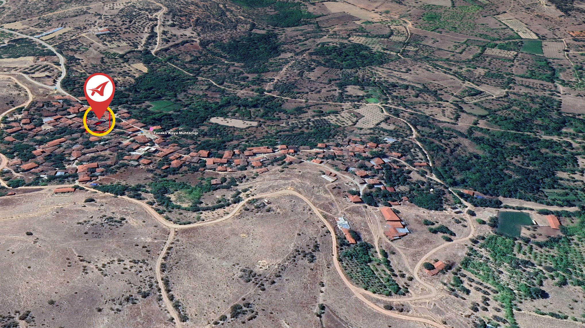 Medya