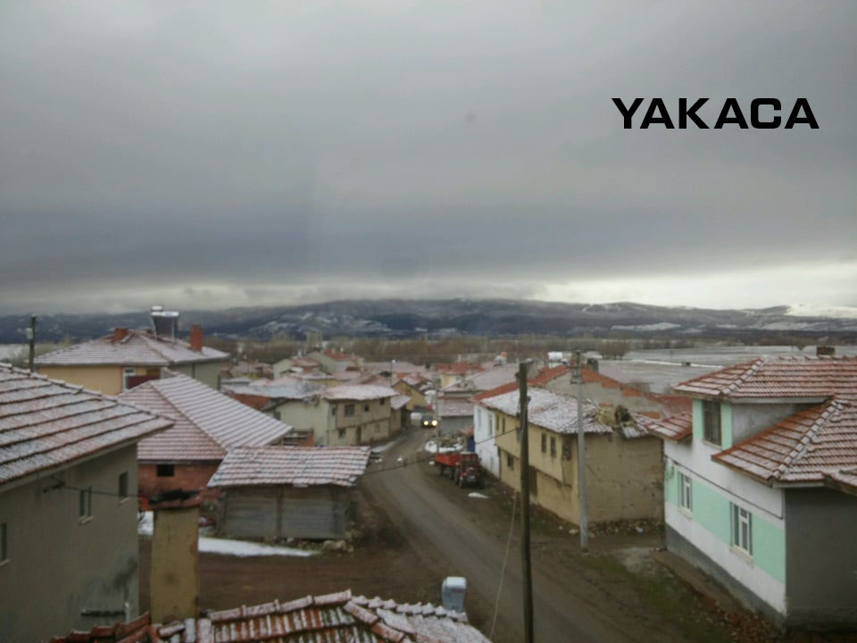 Medya