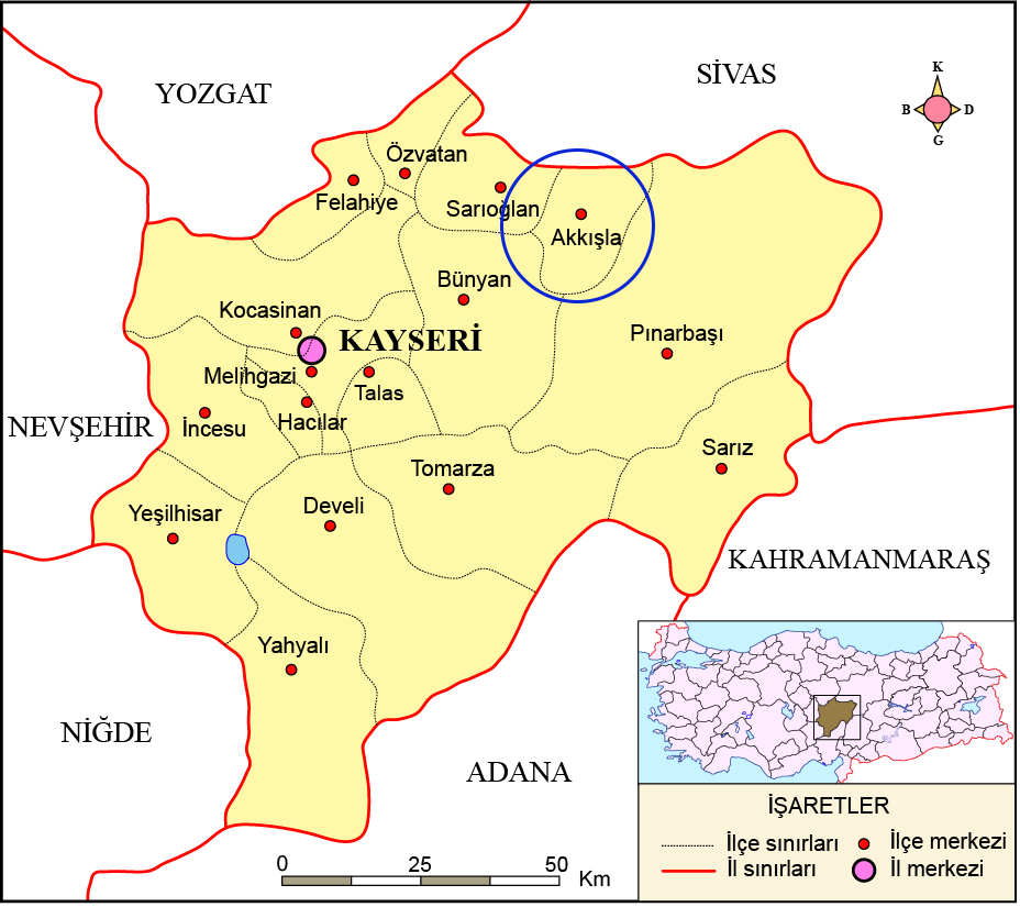 Medya