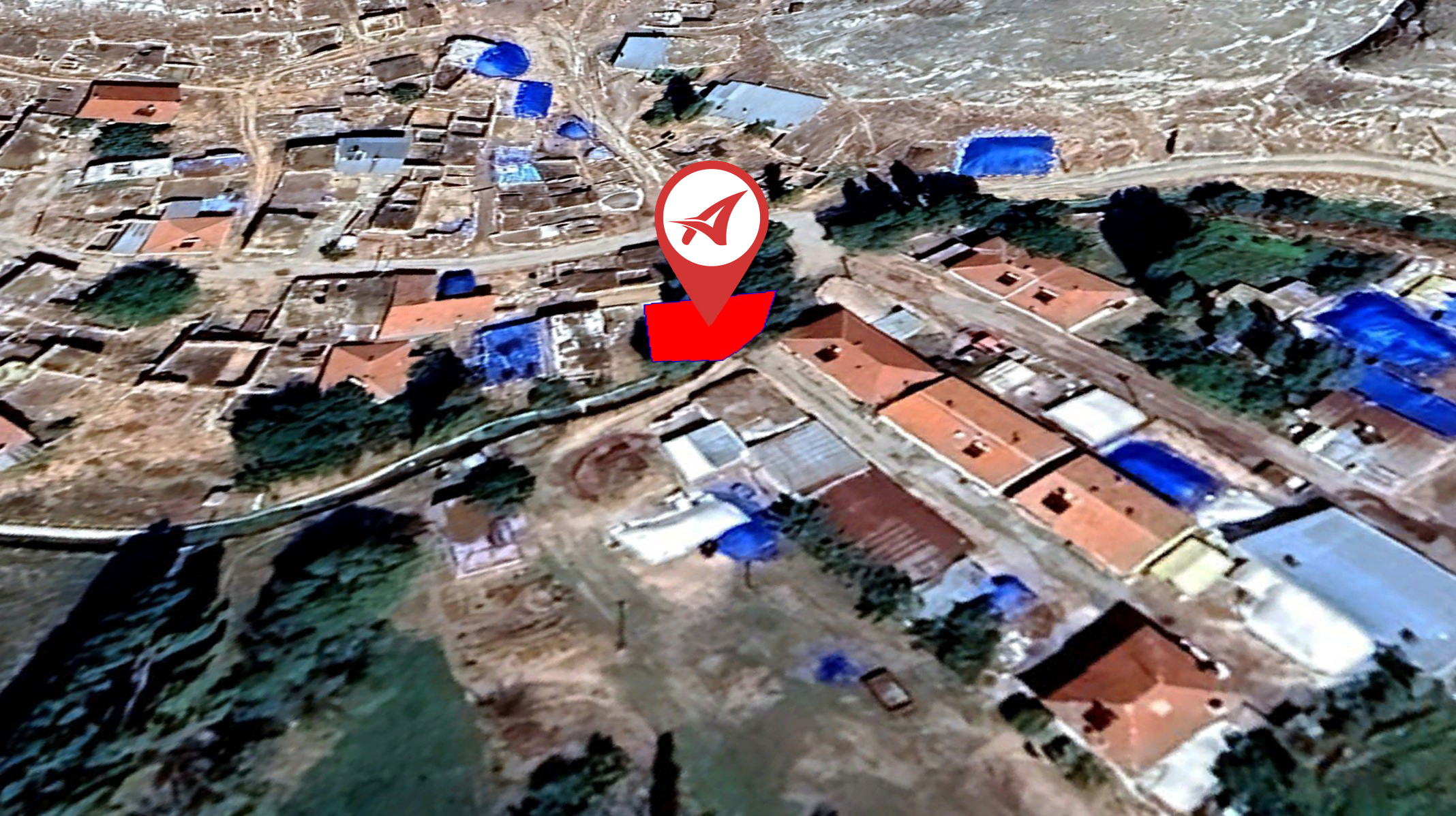 Medya