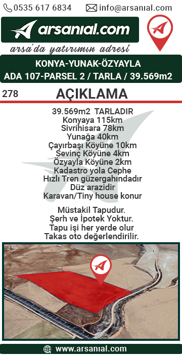 Medya