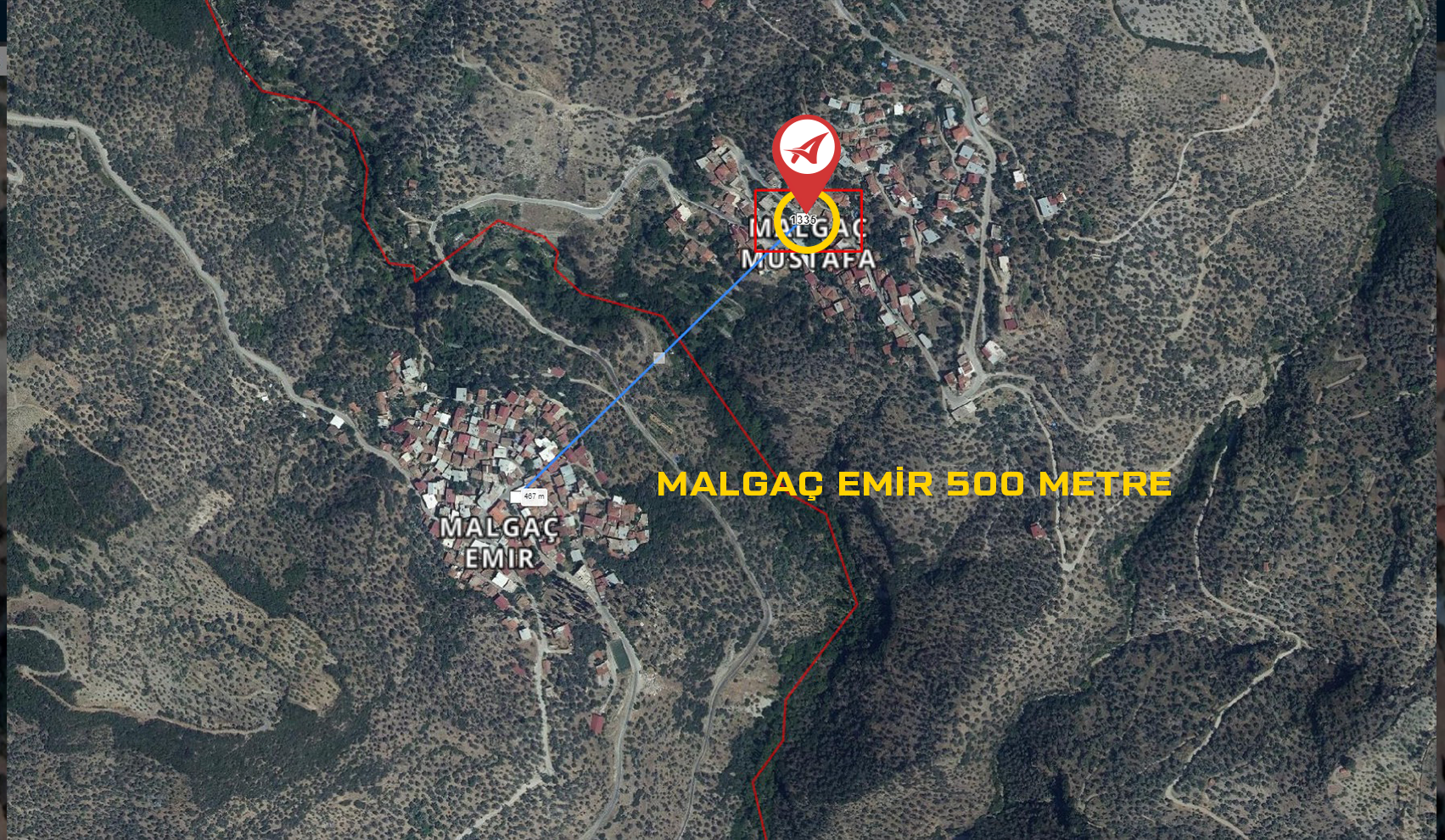 Medya