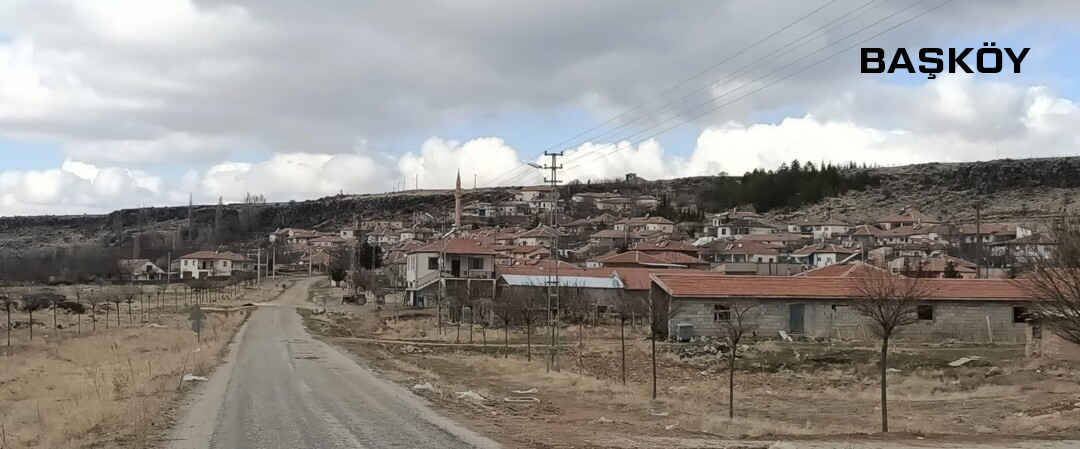 Medya