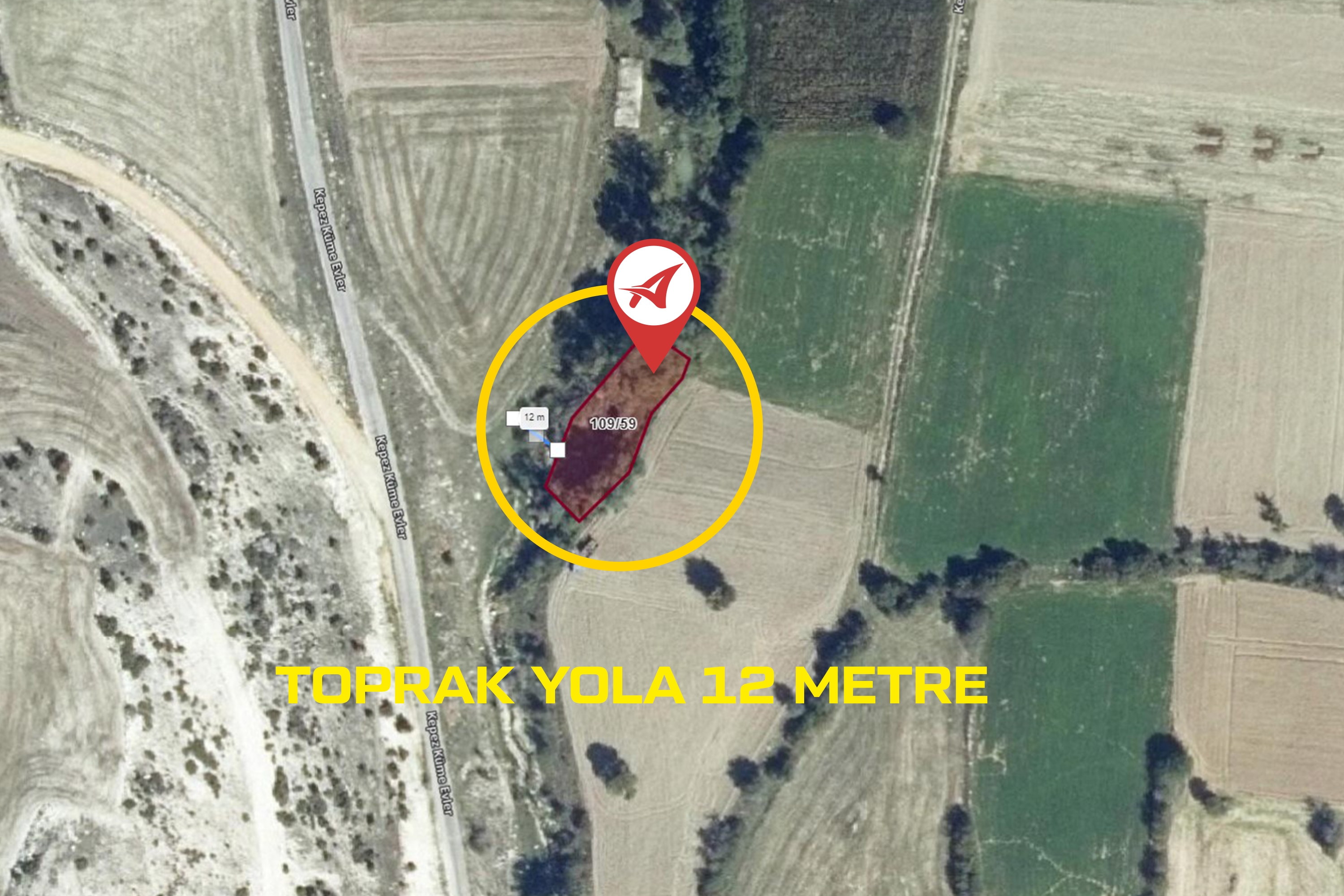 Medya