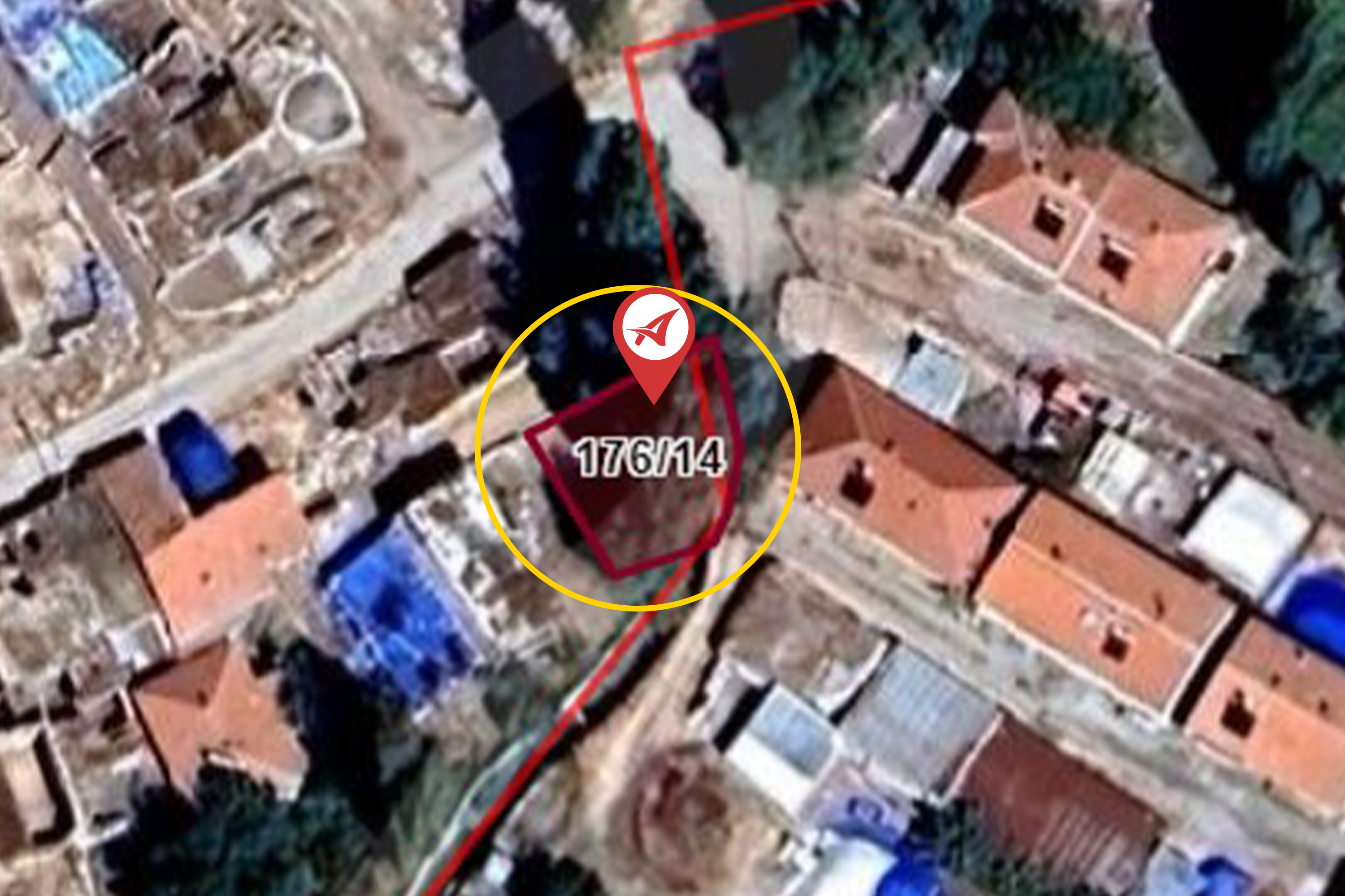 Medya