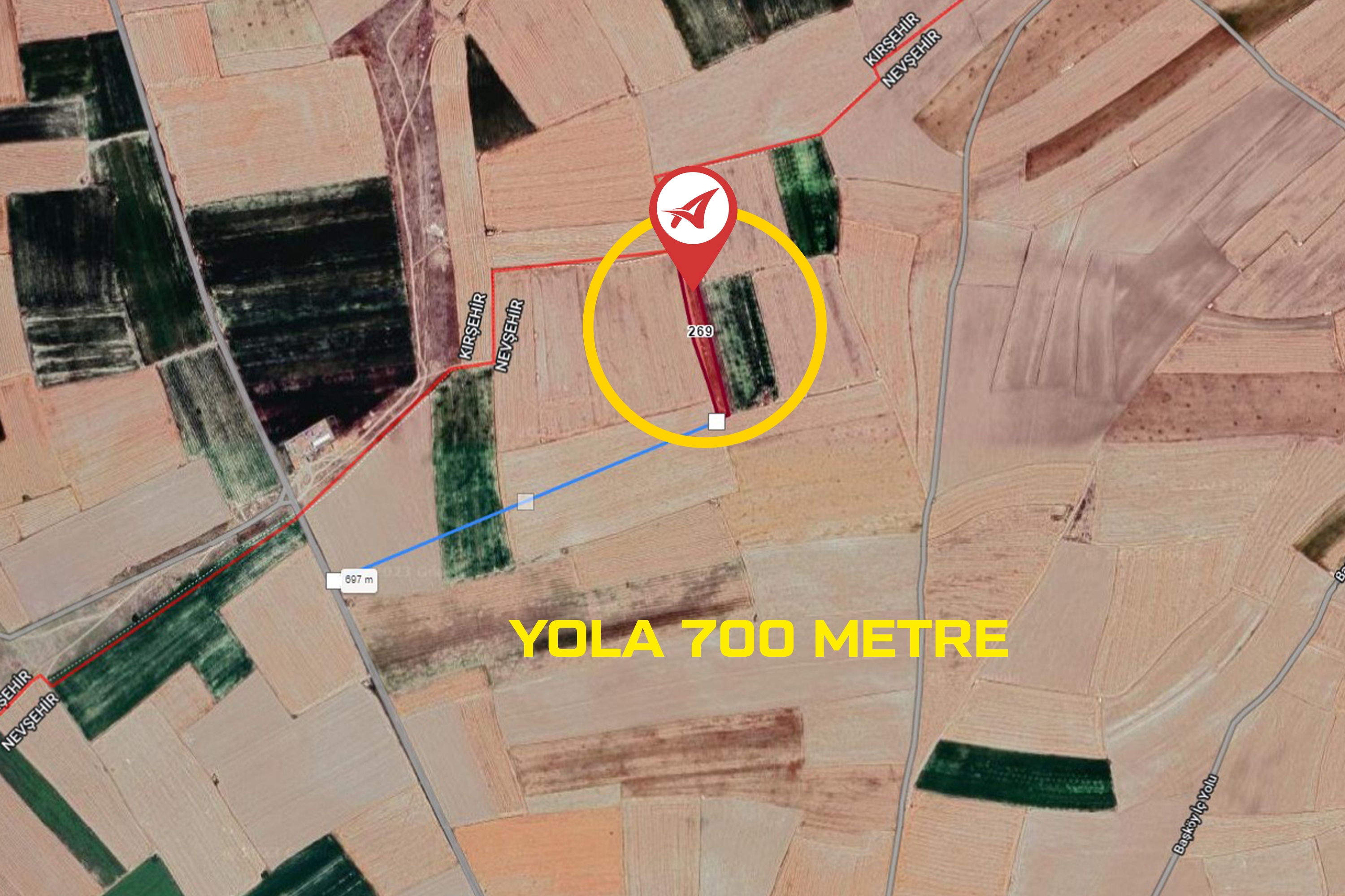 Medya