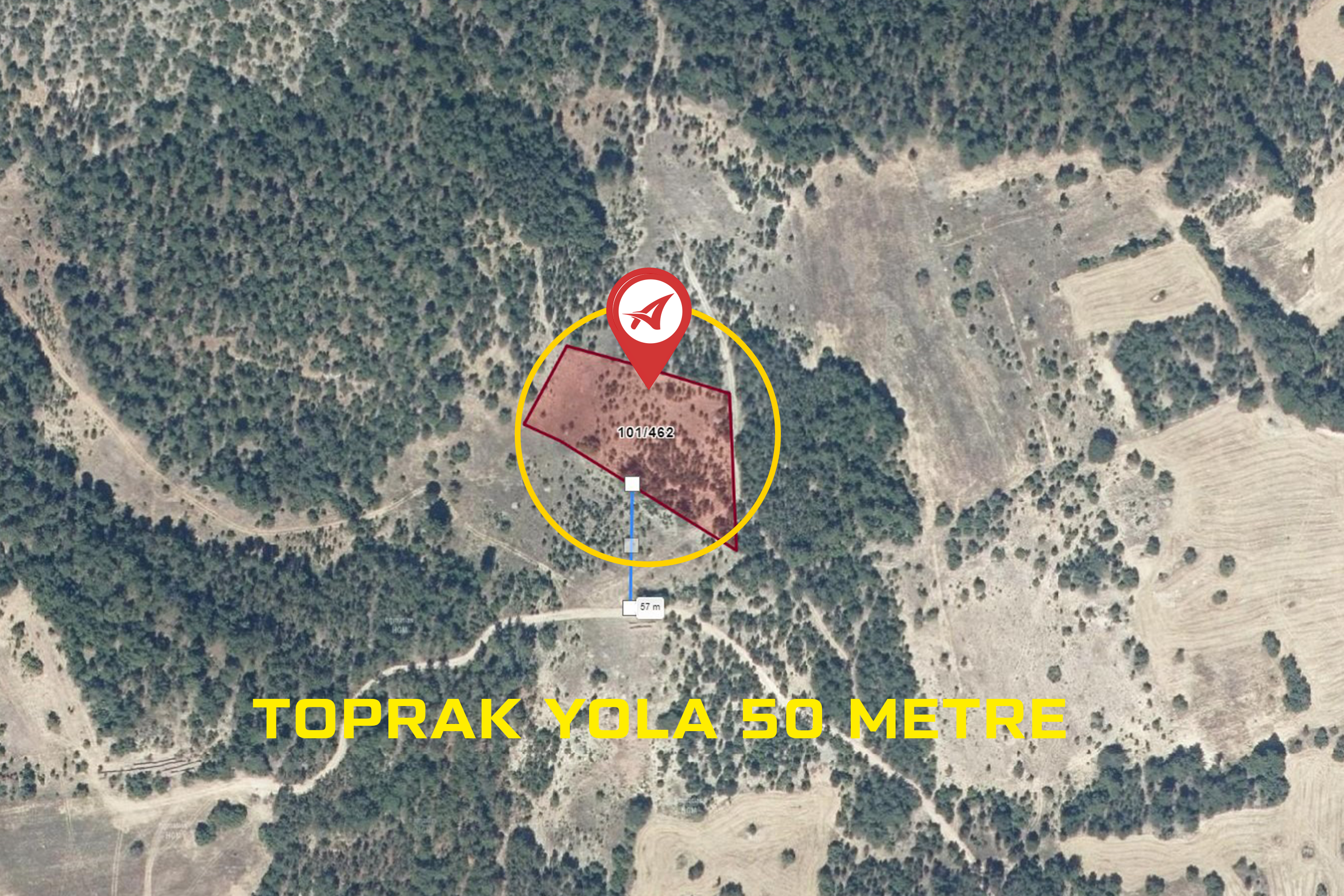 Medya
