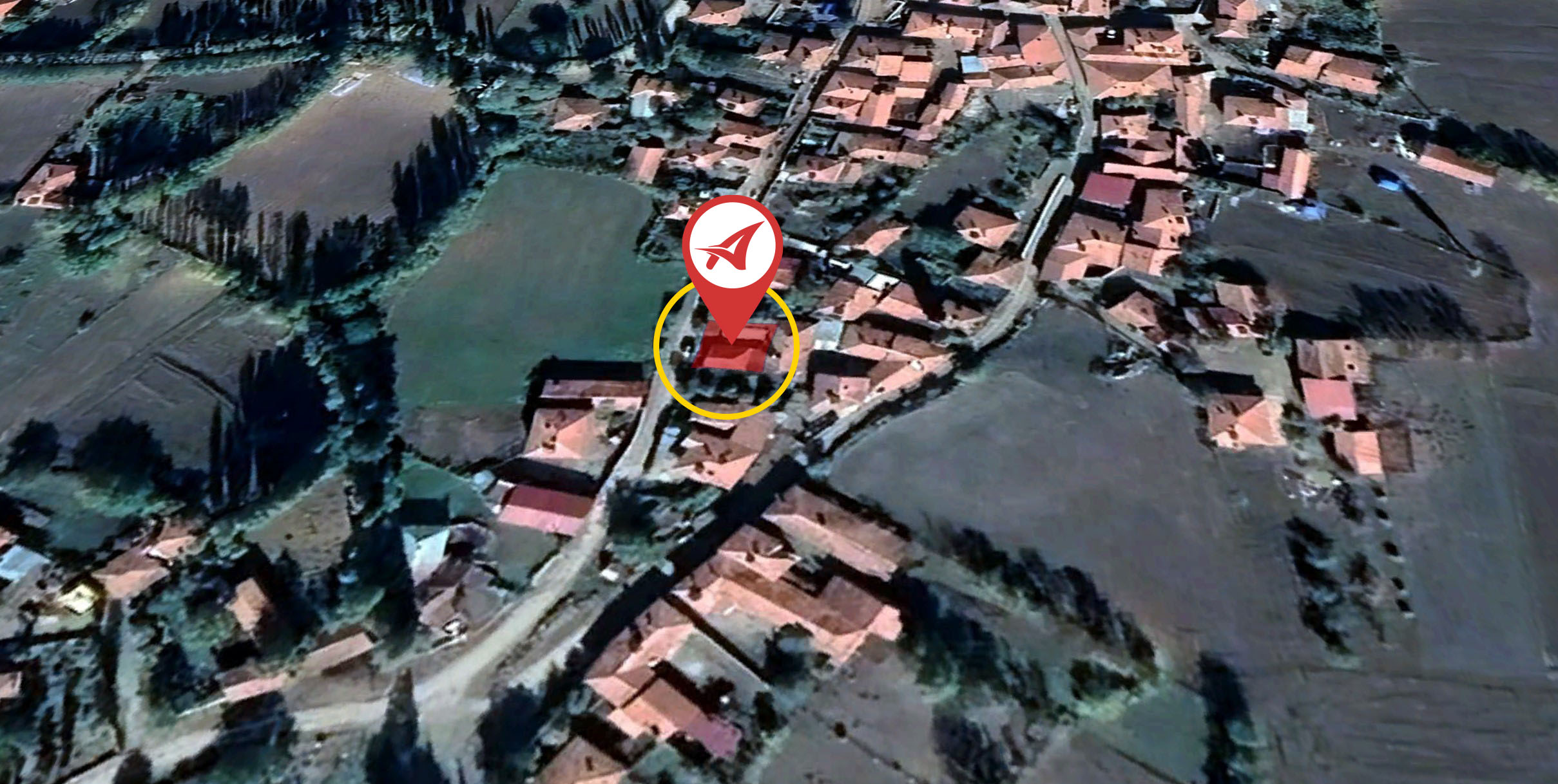 Medya