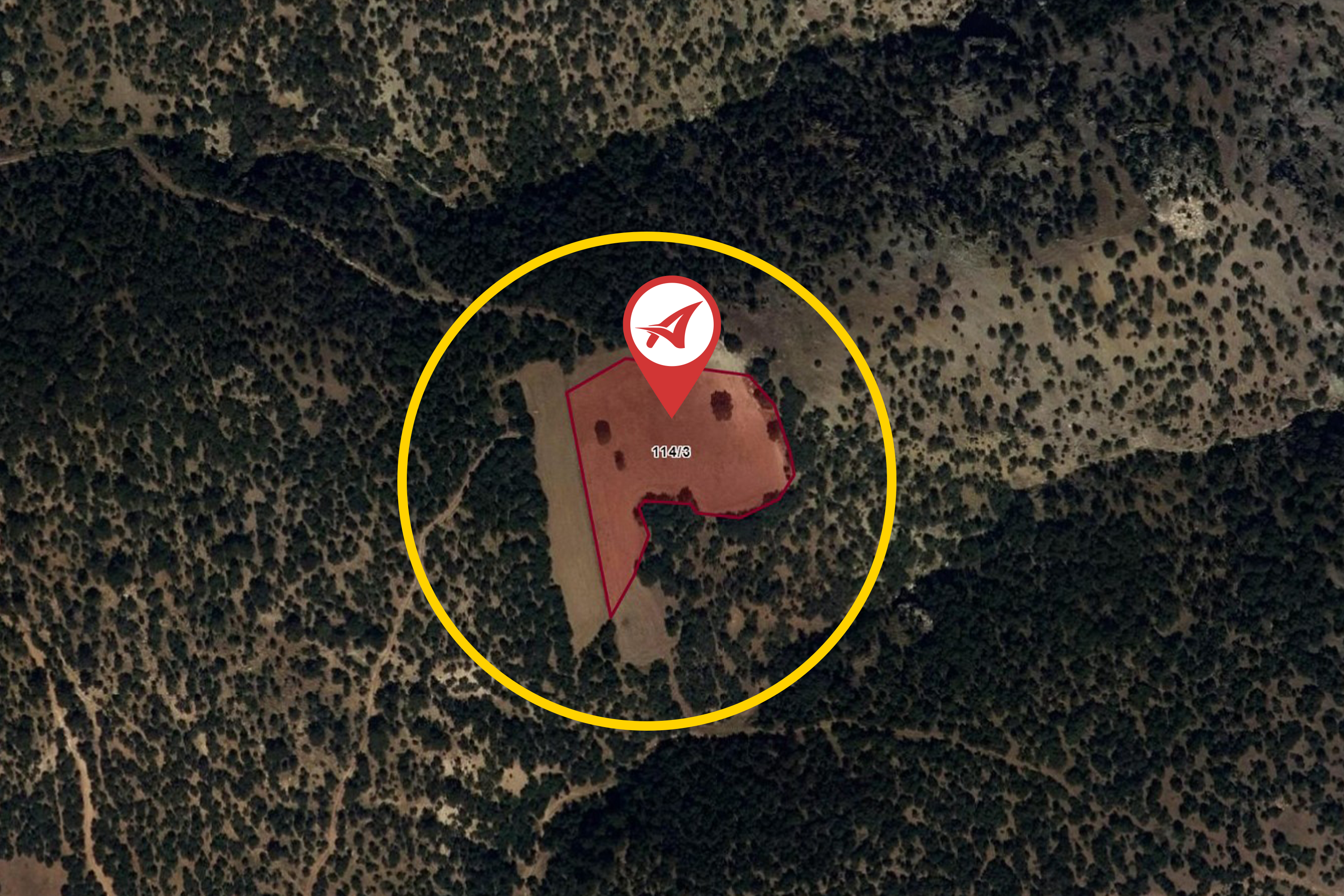 Medya