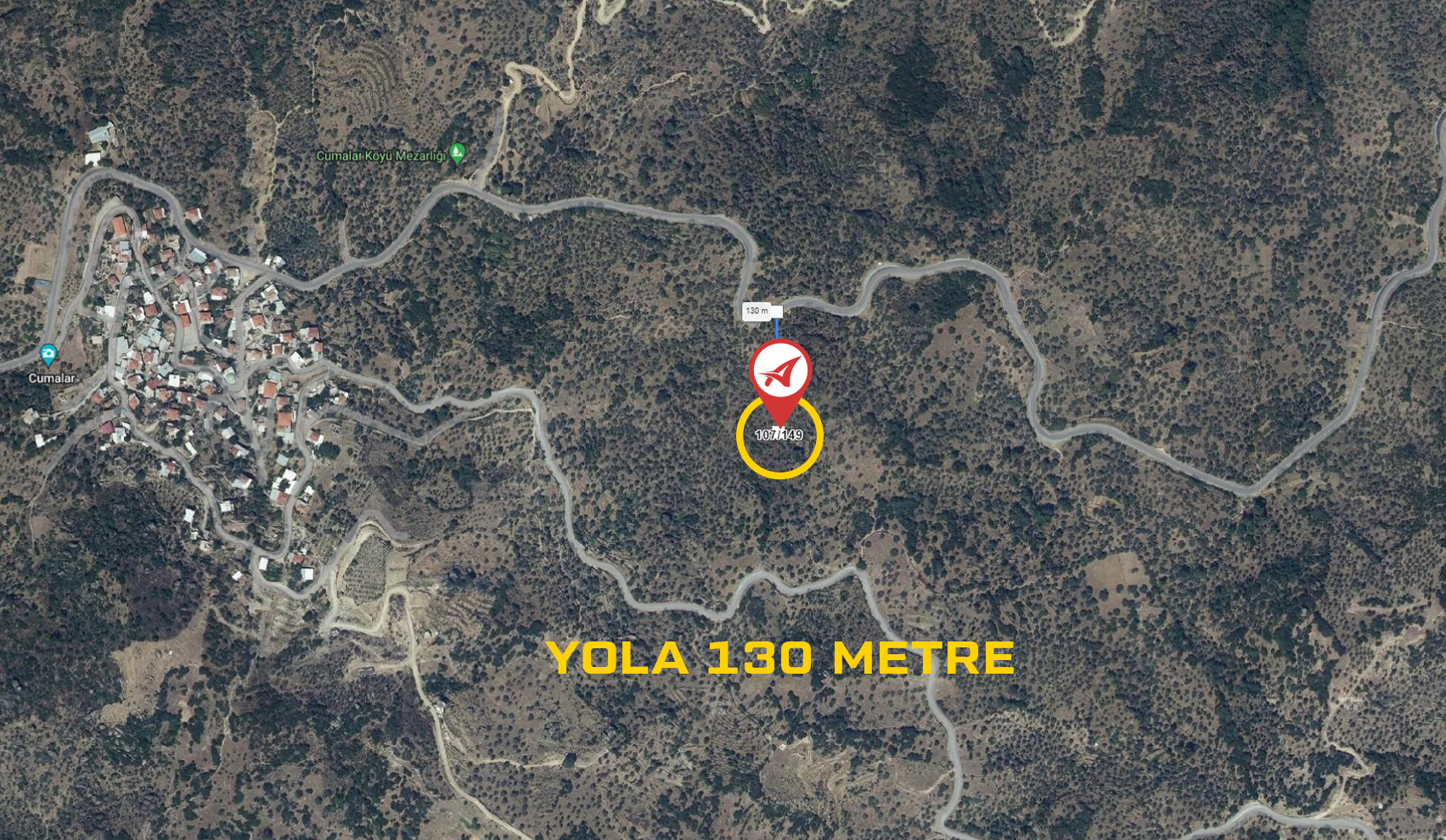 Medya