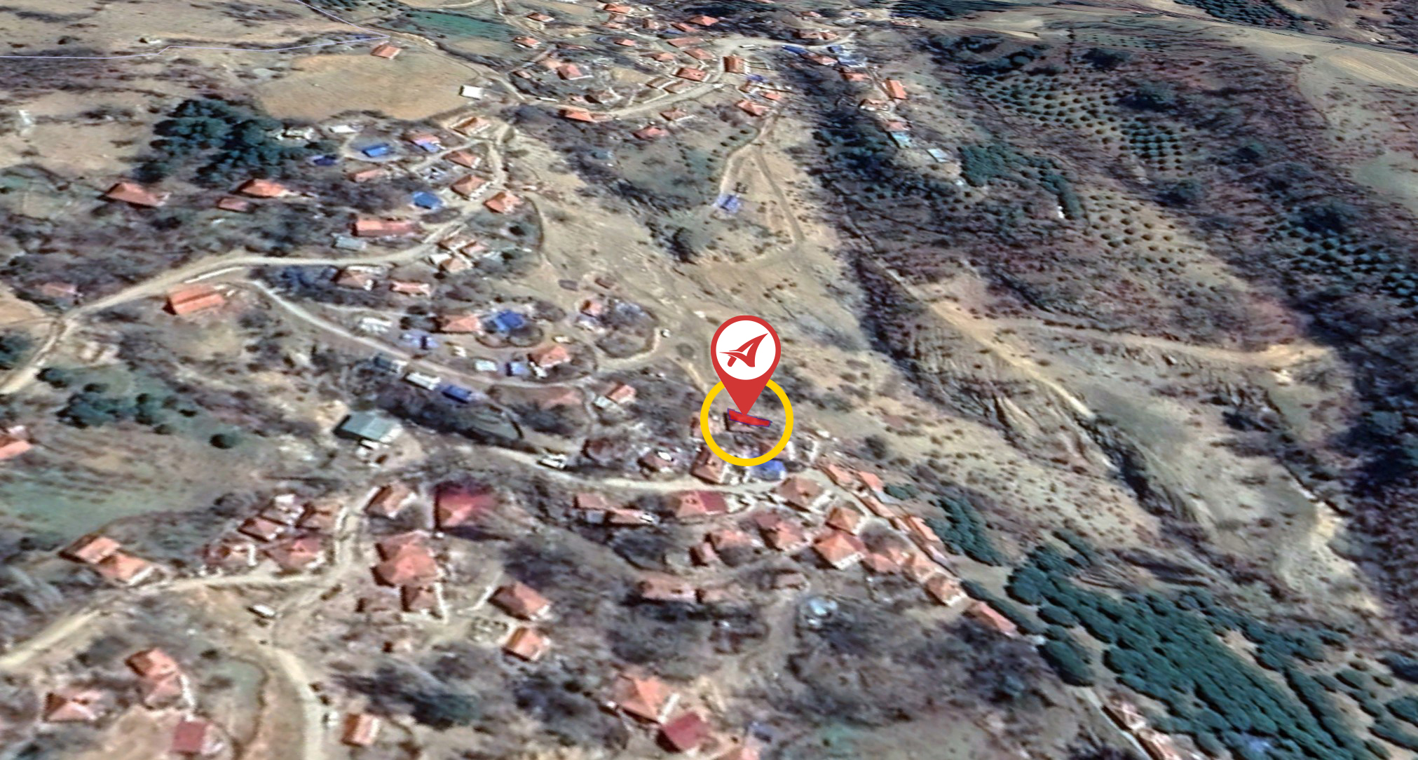 Medya