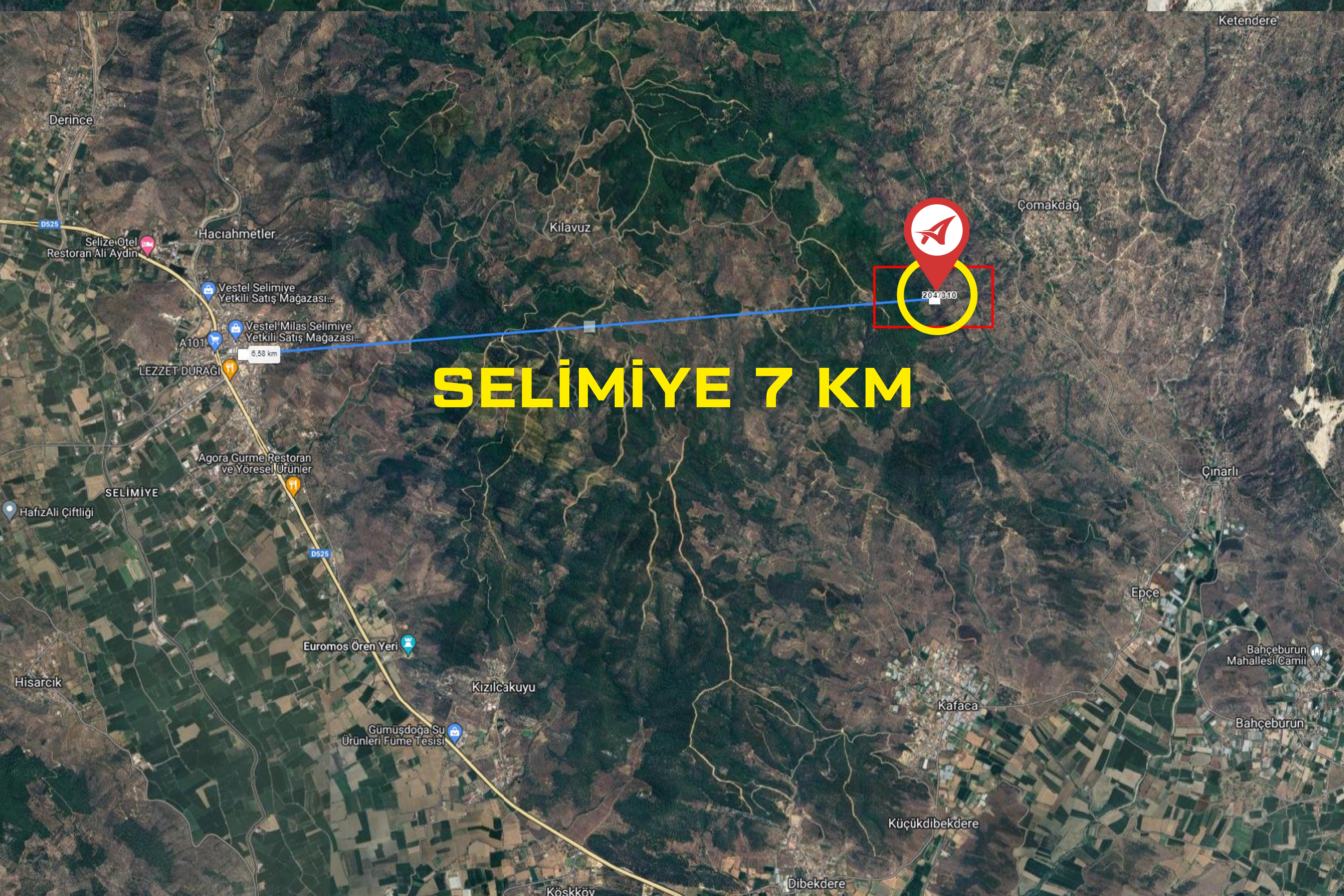 Medya