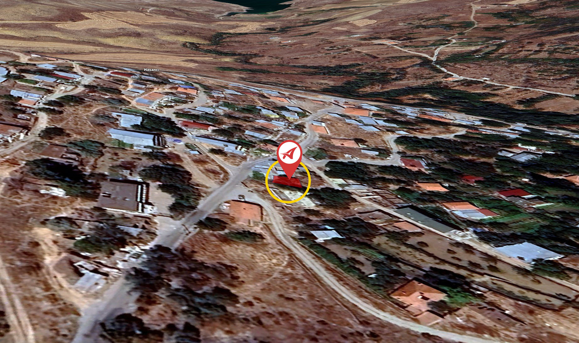 Medya