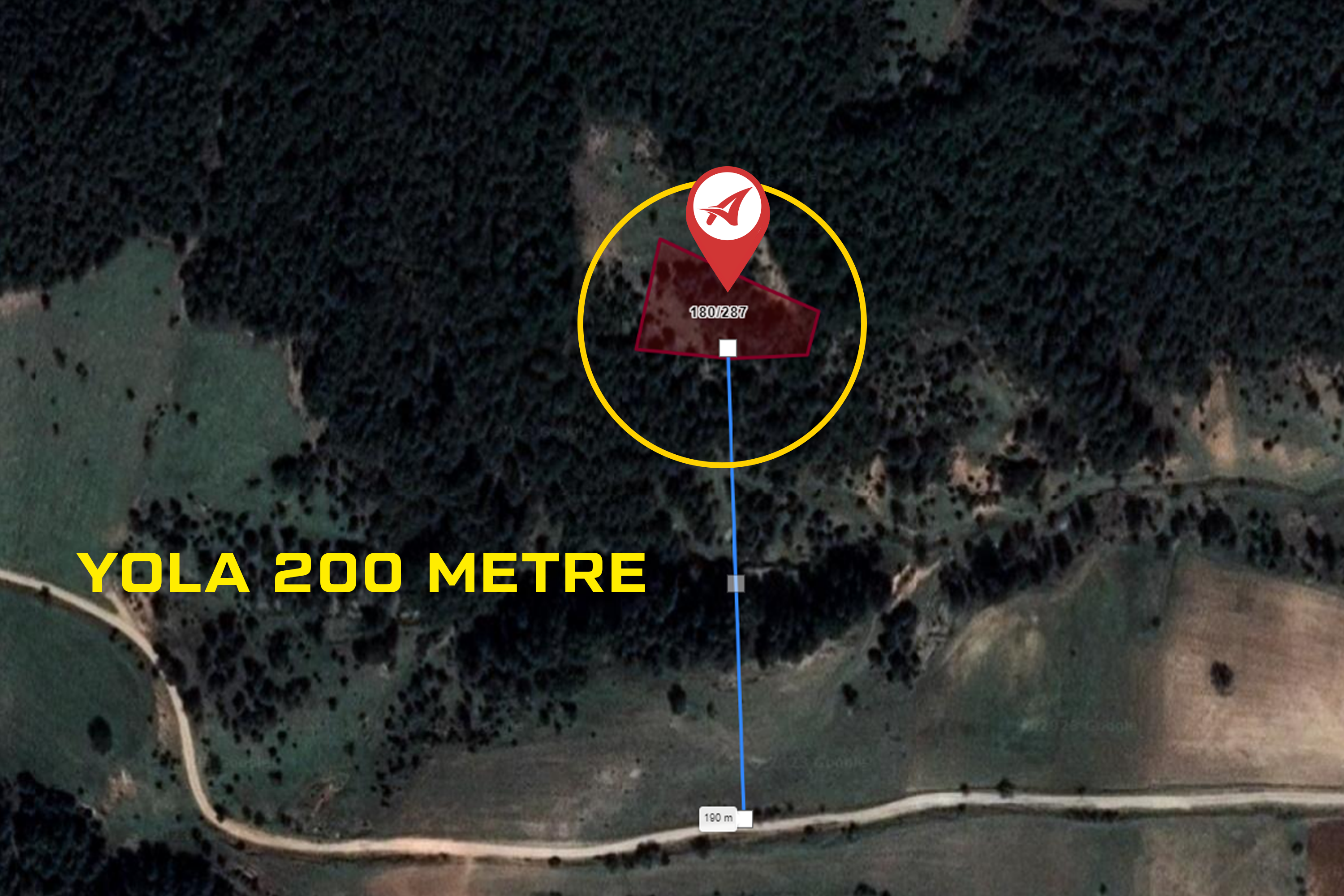 Medya