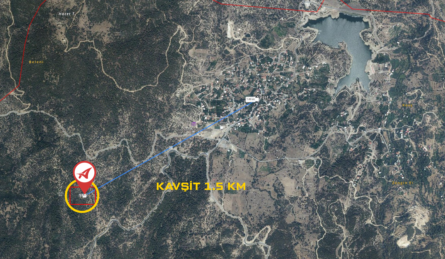 Medya